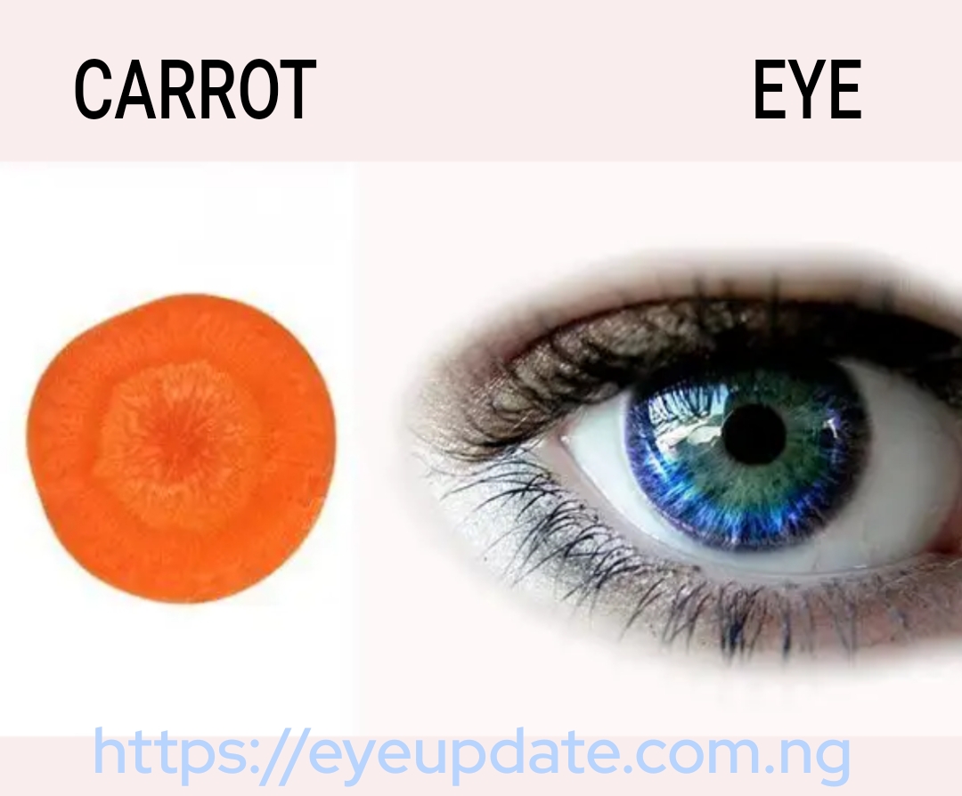 Foods good for the eyes